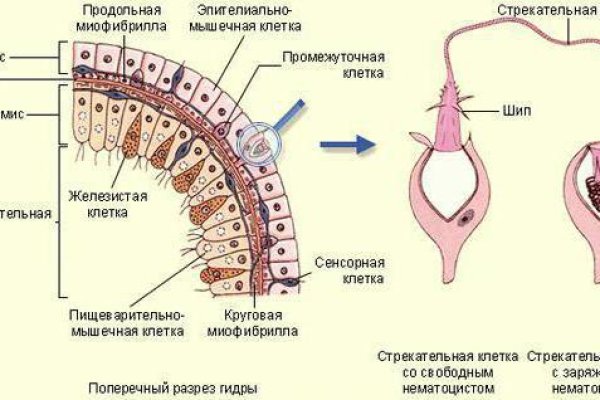 Kra22.cc