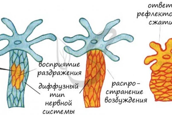 Реальная ссылка кракен