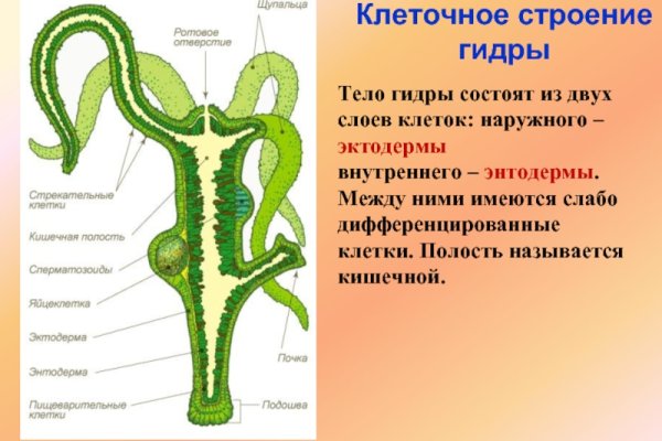 Кракен шоп интернет нарко