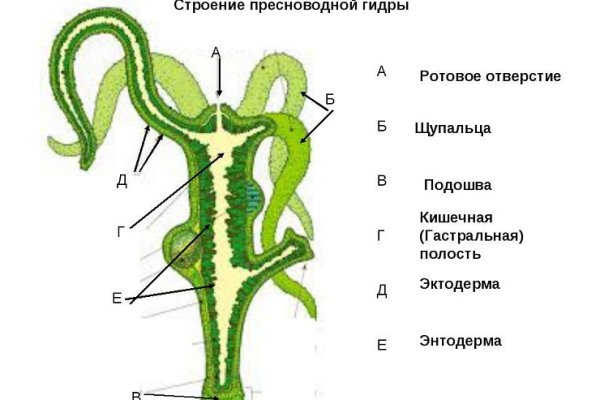 Кракен сайт vtor run